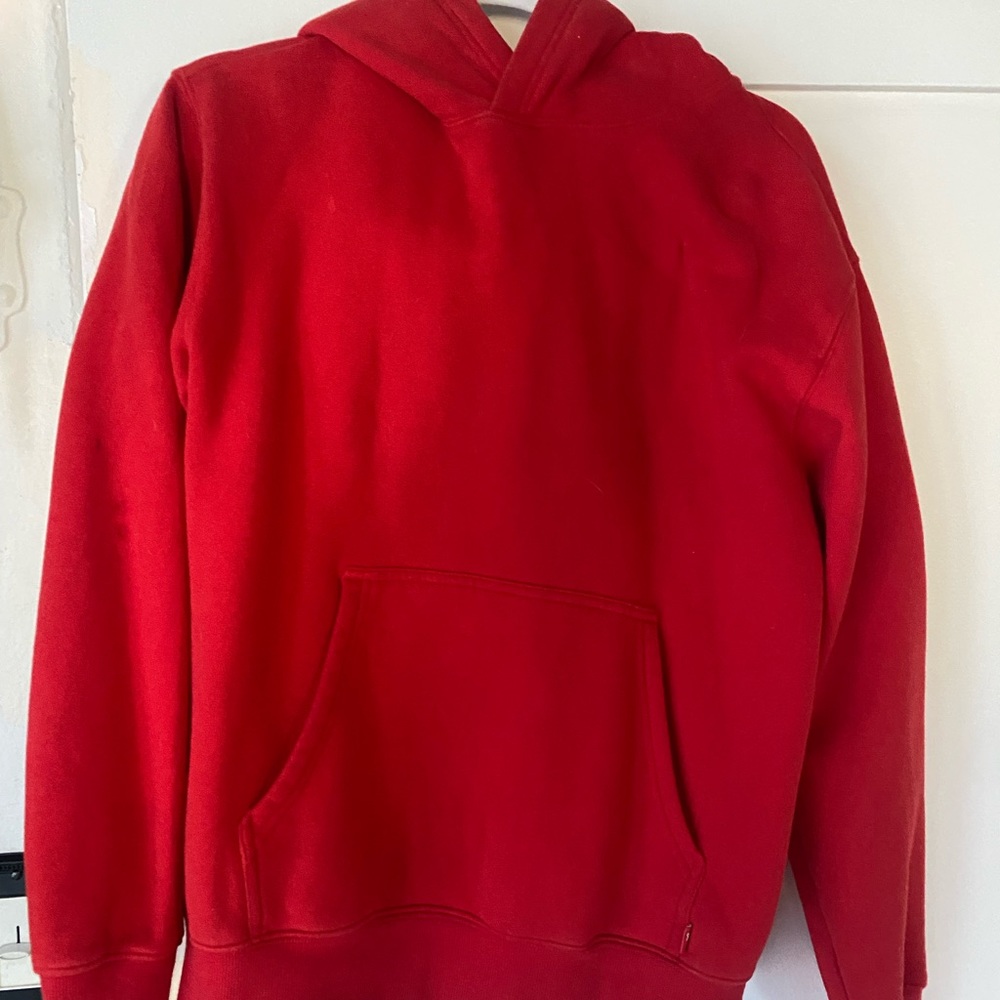 Aritzia TNA Perfect Hoodie
